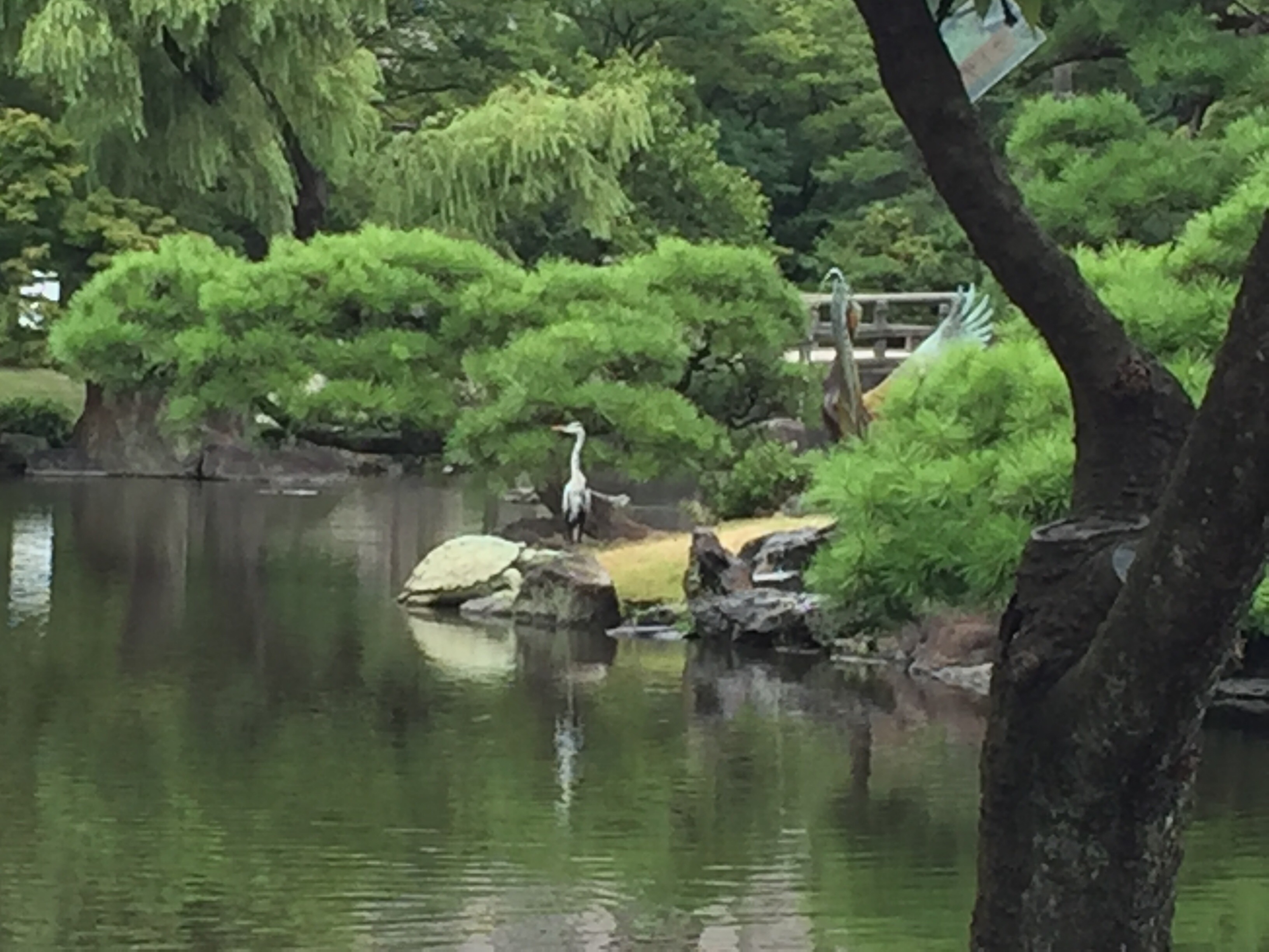 鶴舞公園の景色