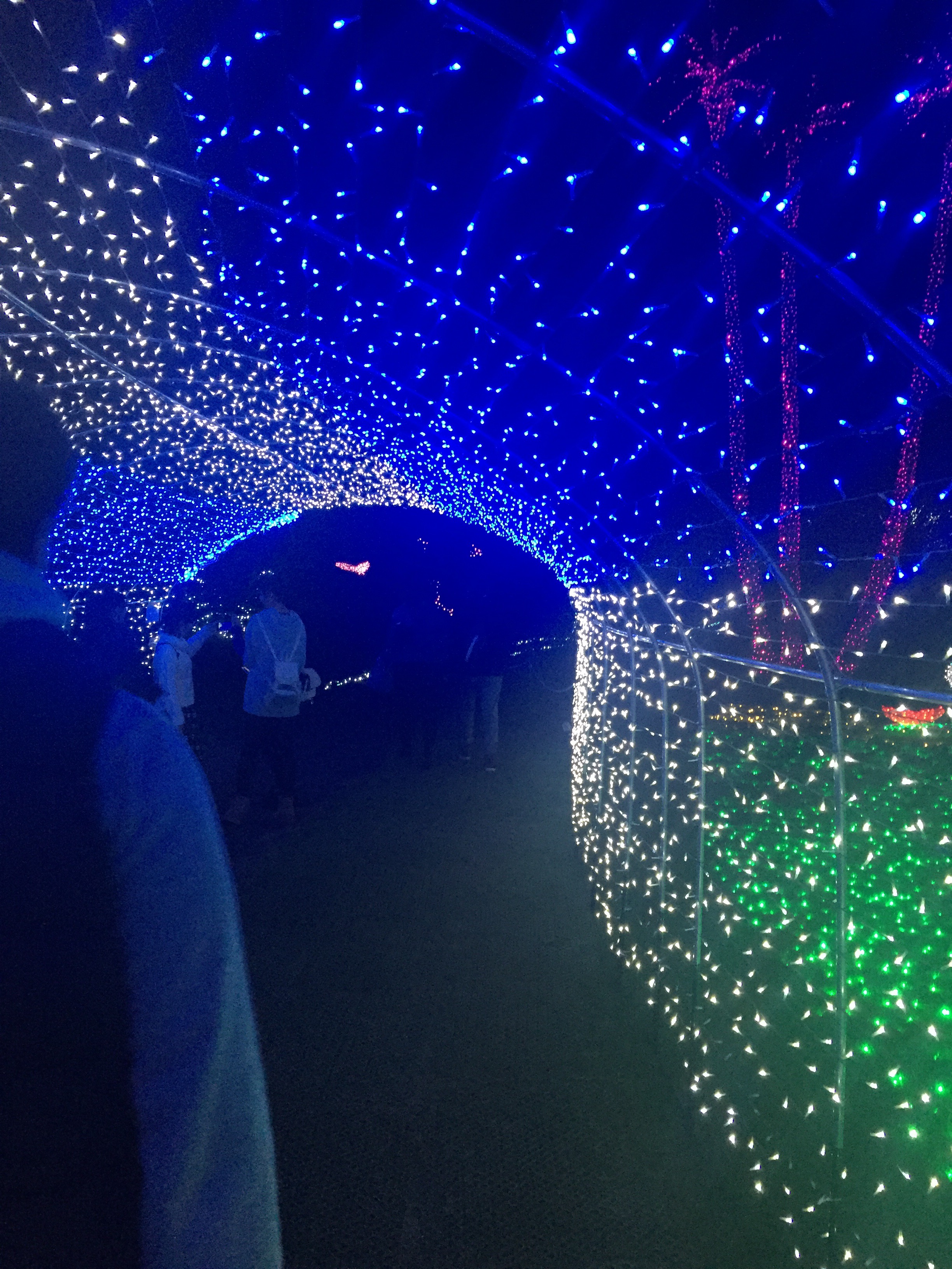 フローランテ宮崎 イルミネーション ヒカリのトンネル